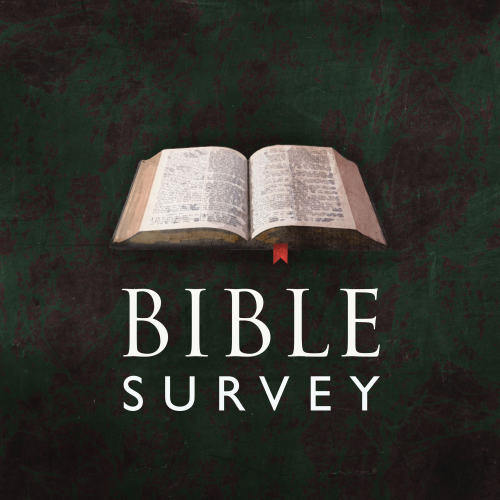 Bible Survey series artwork