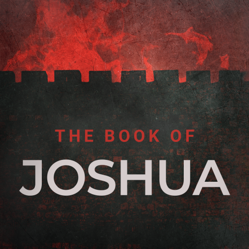 Joshua series artwork